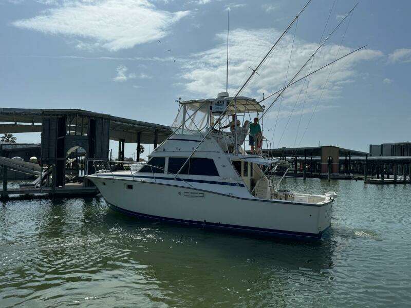 1983 Bertram 385 Convertible- Cast Off II- Port Aft