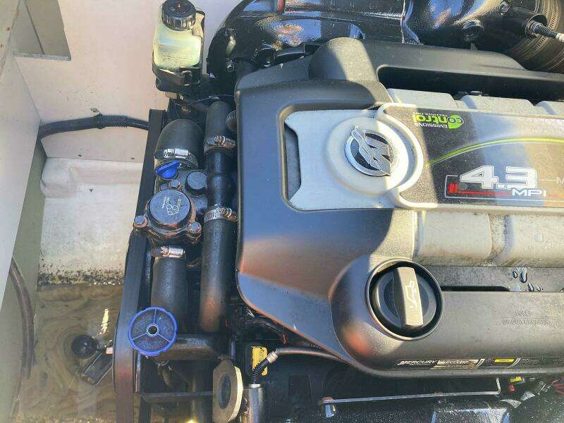 2012 Sea Ray 190 Sport