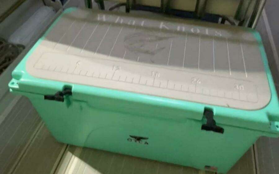 1990 Wellcraft Scarab 30 Cuddy