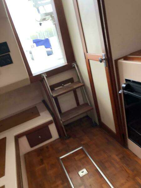 1990 Shannon Brendan 28