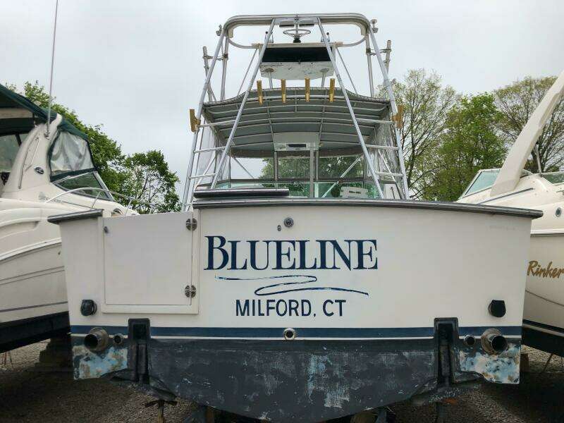 1990 Shannon Brendan 28