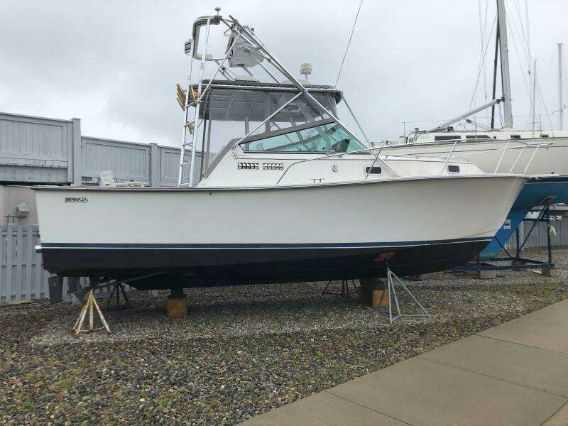 1990 Shannon Brendan 28