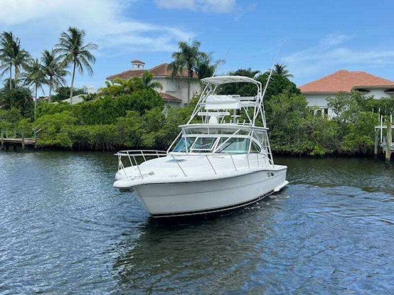 2003 Tiara Yachts 3800 Open cruising on a scenic waterway with palm trees.