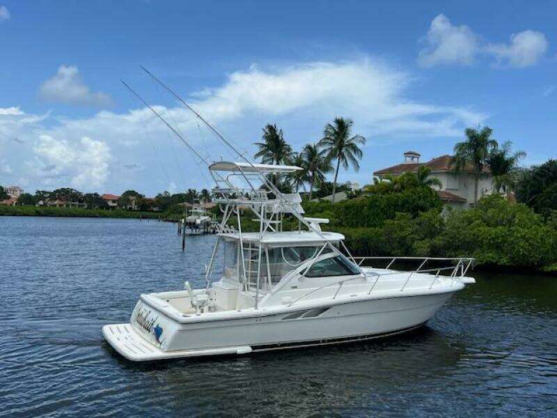2003 Tiara Yachts 3800 Open on a serene waterway, surrounded by lush greenery.