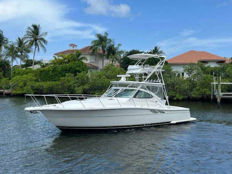2003 Tiara Yachts 3800 Open cruising on a scenic waterway with palm trees.