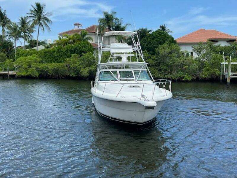 2003 Tiara Yachts 3800 Open cruising on a scenic waterway with lush greenery.
