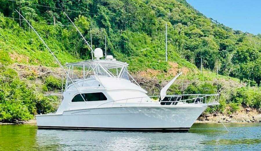 1988 Bertram 54' yacht on calm water near lush green shoreline.