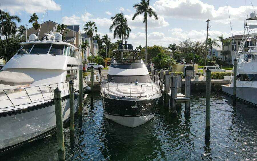 2016 Marquis 660 Sport Yacht docked in a marina with palm trees.