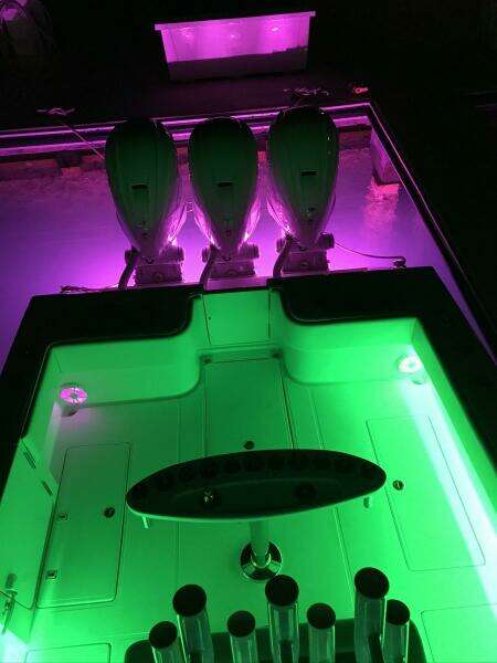 2020 SeaHunter 39 Tournament