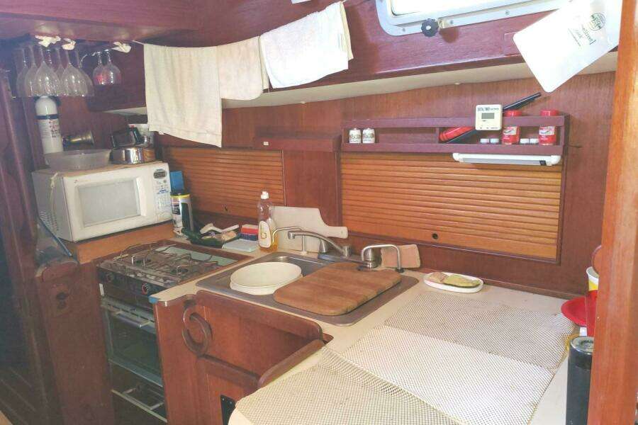 1983 Morgan Nelson Marek 45-4