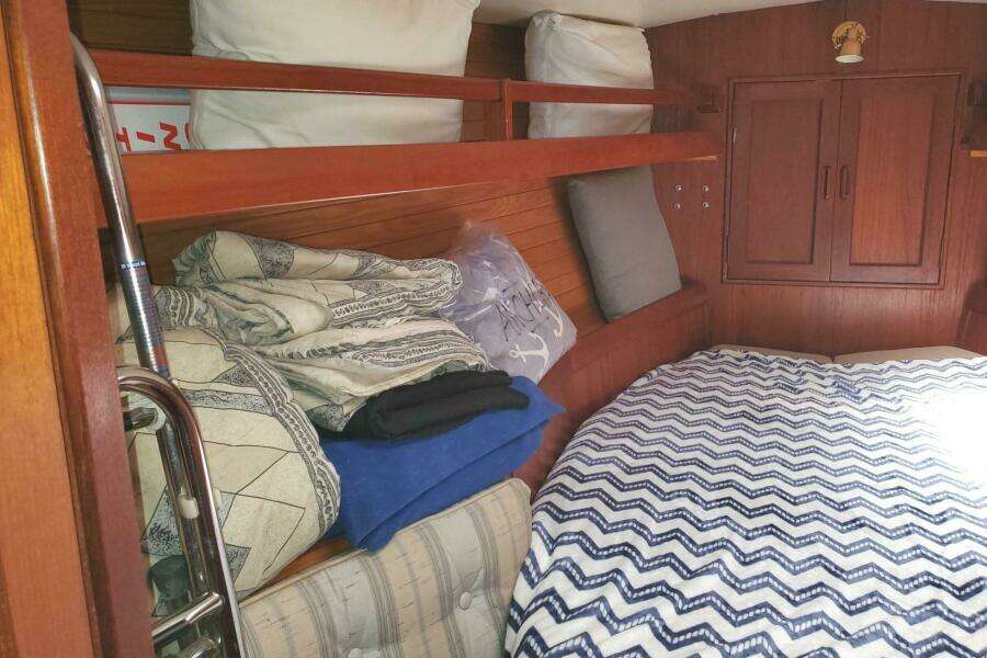 1983 Morgan Nelson Marek 45-4