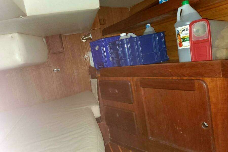 1983 Morgan Nelson Marek 45-4