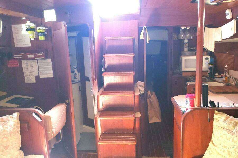 1983 Morgan Nelson Marek 45-4