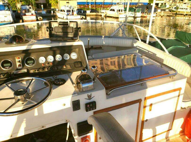 1979 Bertram 38 Convertible Sportfisher
