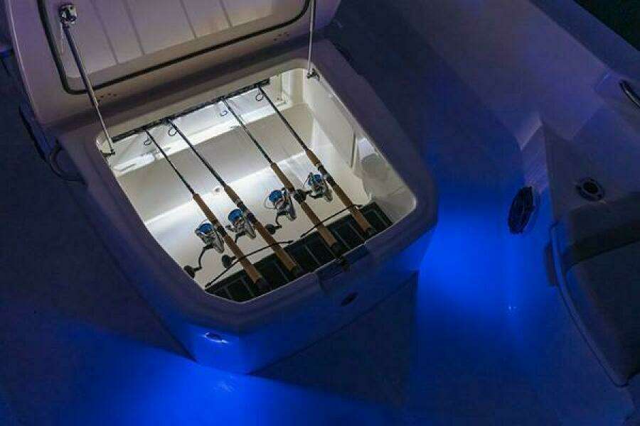 2023 Boston Whaler 250 Dauntless