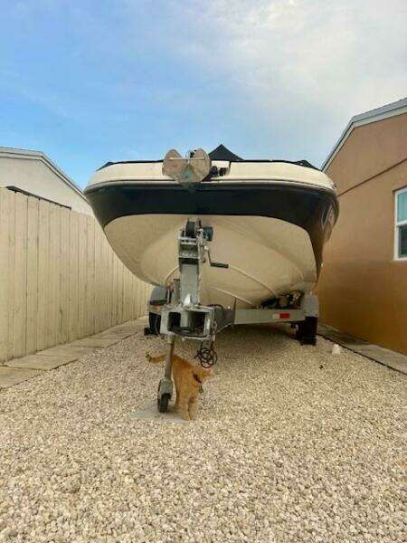 2022 Bayliner DX2000