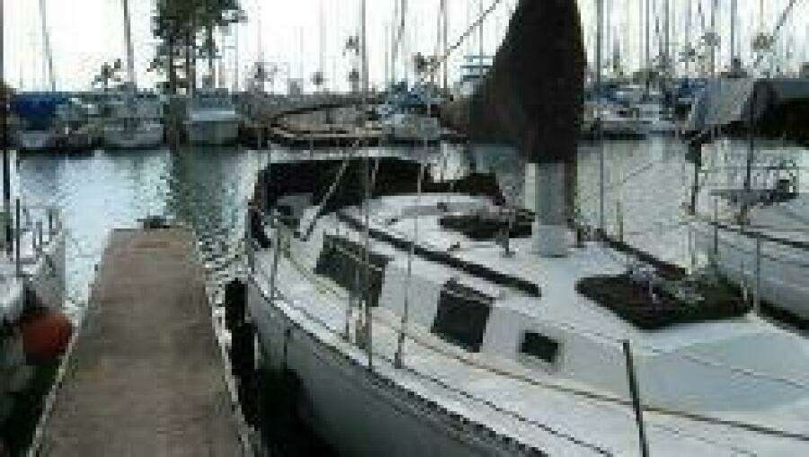 1981 Newport C and C Sloop