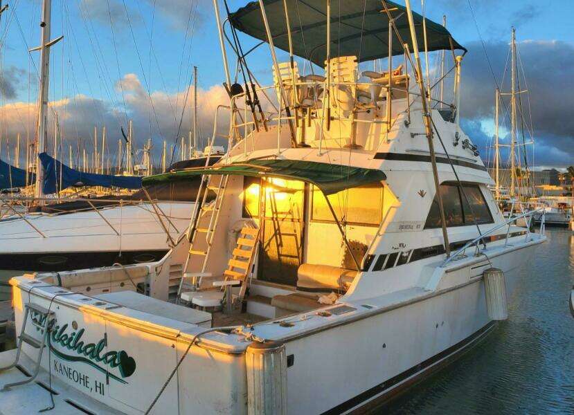 1988 Bertram 37 Convertible