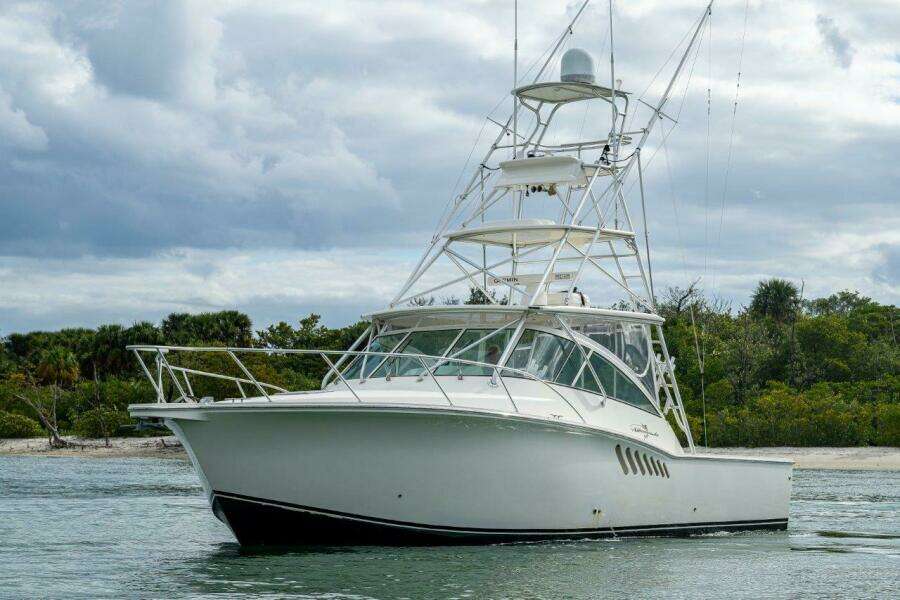 Albemarle 36 Sore Subject Profile