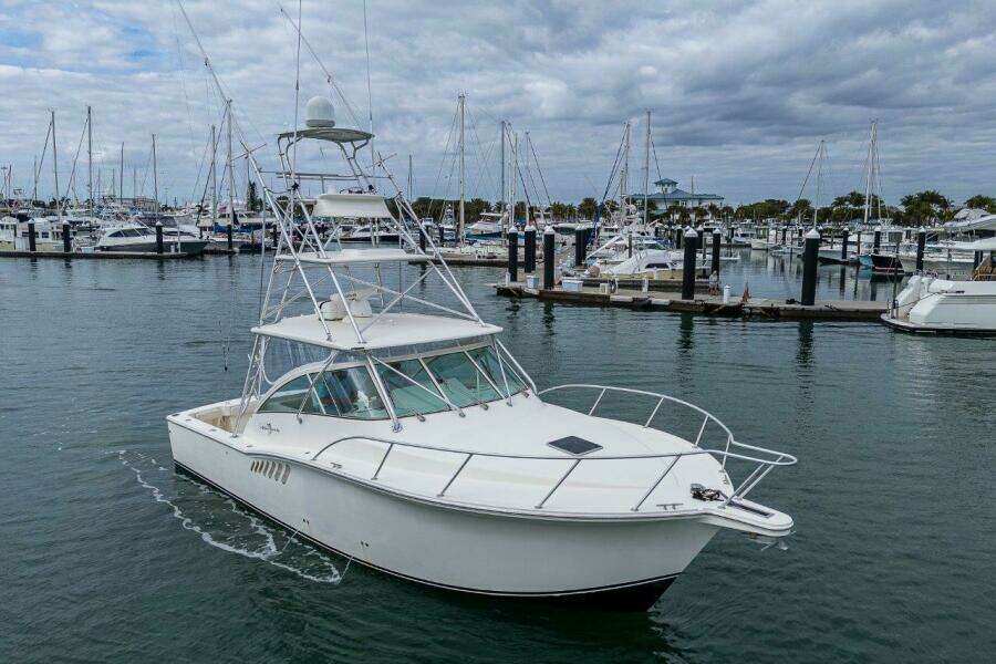 Albemarle 36 Sore Subject Profile