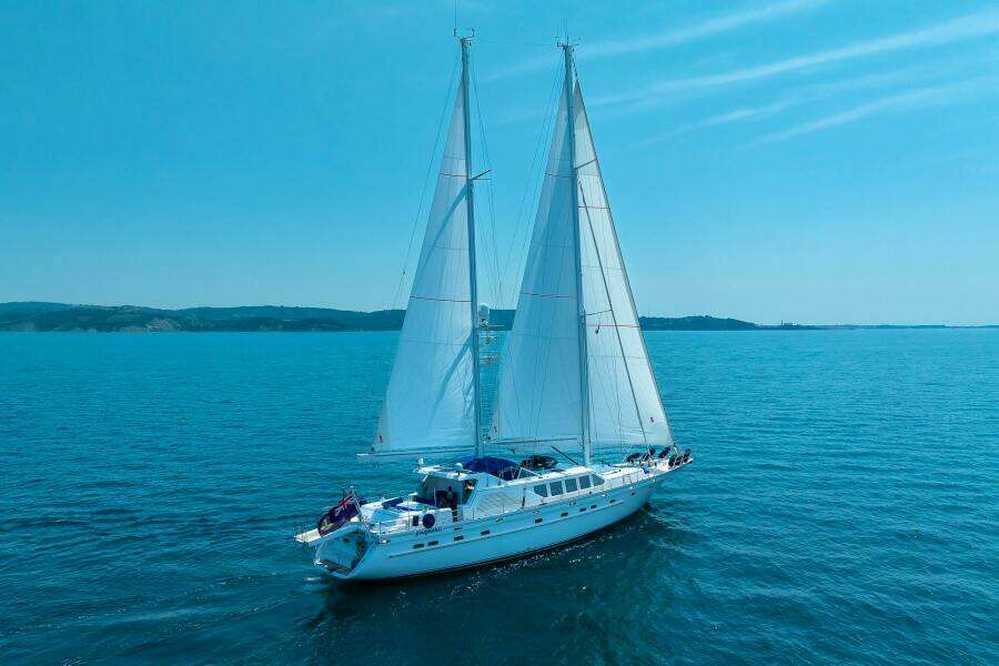 1990 Brandstatter Custom