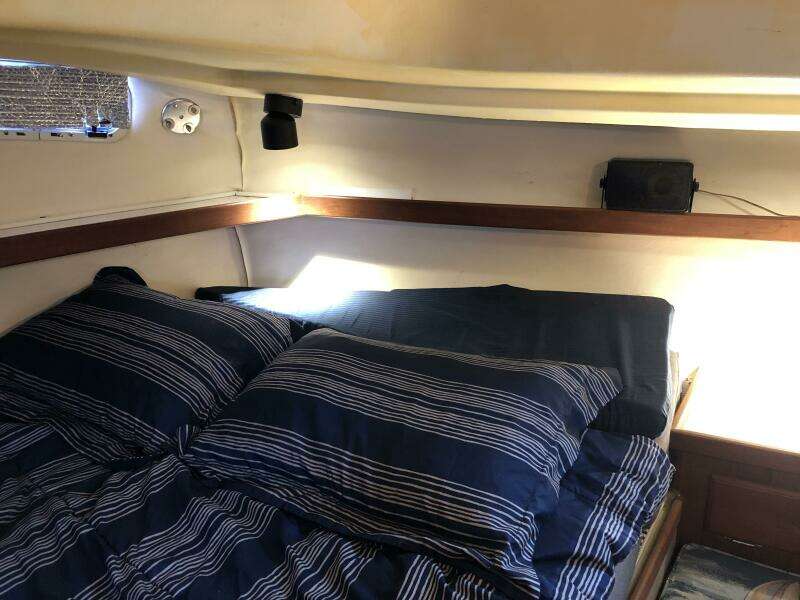 1988 Catalina Morgan Classic 41