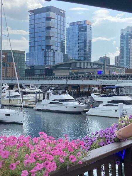 2002 Carver 444 Cockpit Motor Yacht