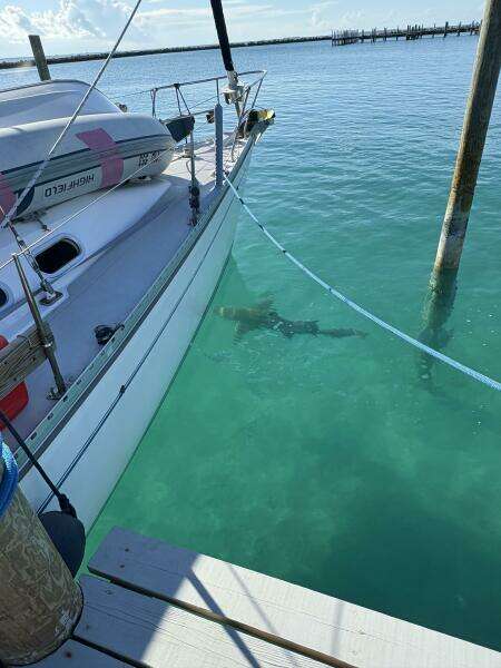 2001 Catalina 400 MKII