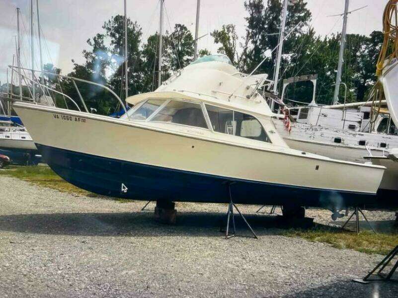 1977 Bertram 31