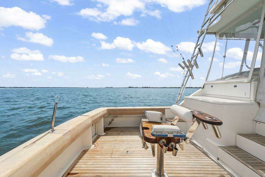 2006 Buddy Davis 48 Express PALE HORSE