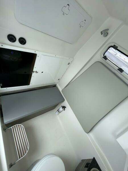 Sea Pro 320 DLX 2023- Head