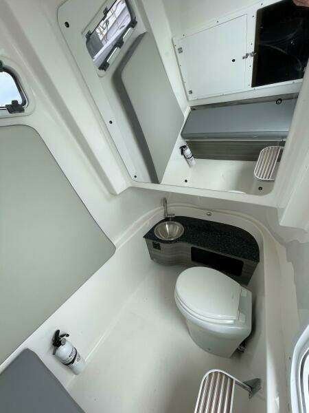 Sea Pro 320 DLX 2023- Head