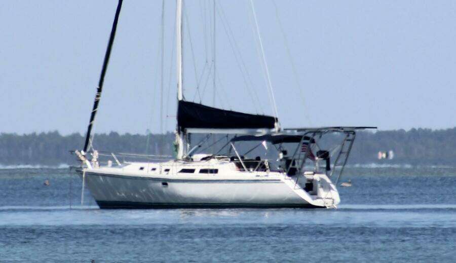 Catalina 42