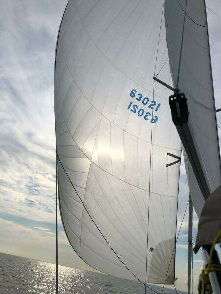 2019 Jeanneau Sun Odyssey 349