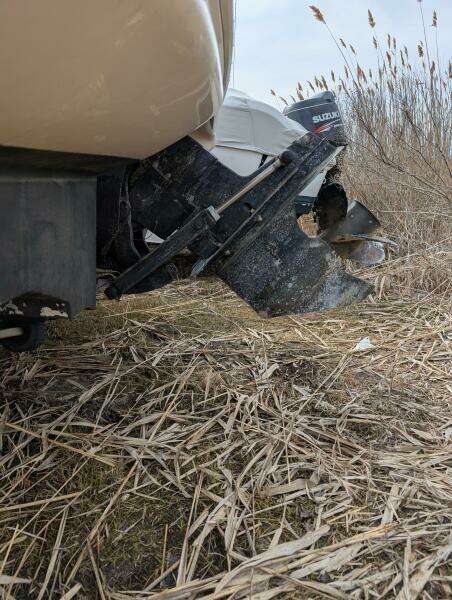 Sea_ray_210_port_engine