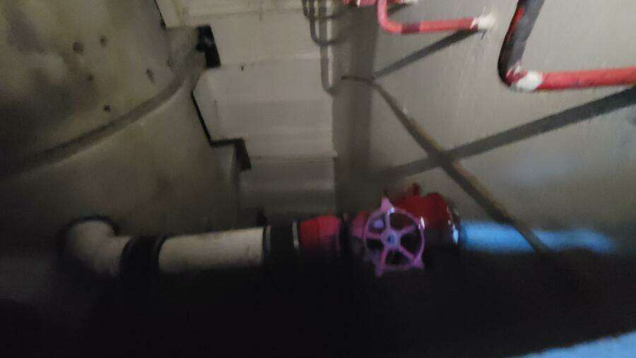 1984 Custom Vinette 99 Paddle Wheel