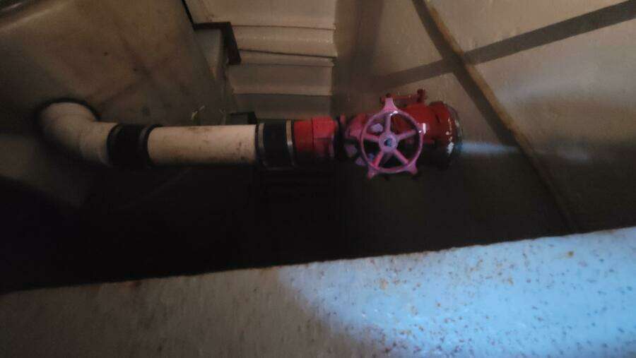 1984 Custom Vinette 99 Paddle Wheel