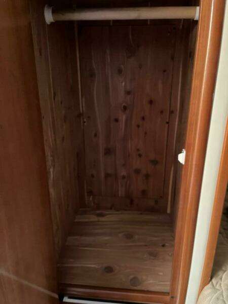 Guest cedar closet 