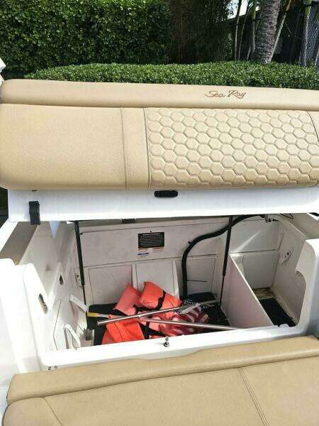 2018 Sea Ray 290 SDX