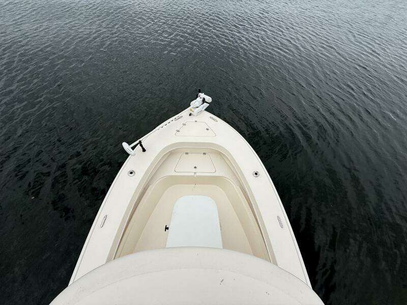 2019 Young Boats 27 - Foredeck