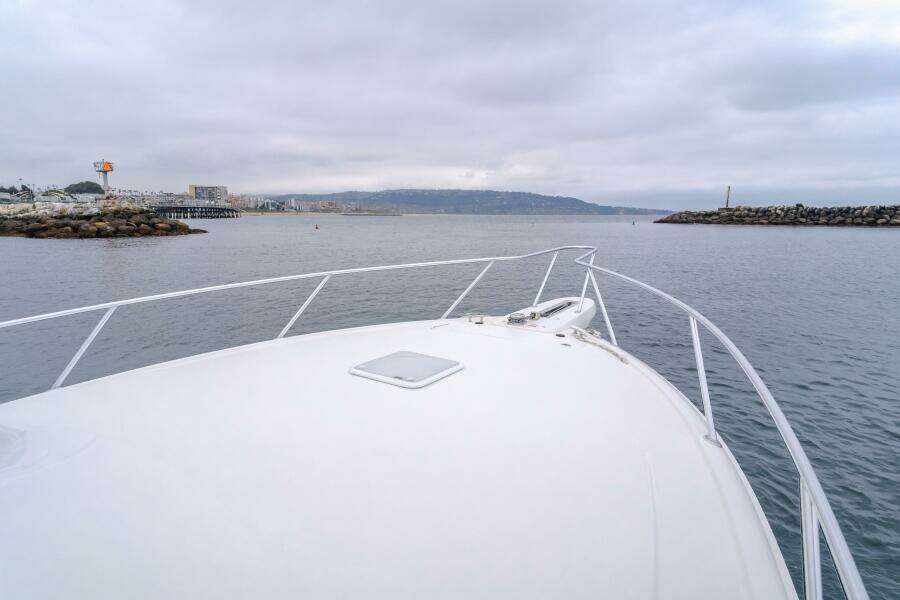 2022 Viking 38 Open - CHAMPION