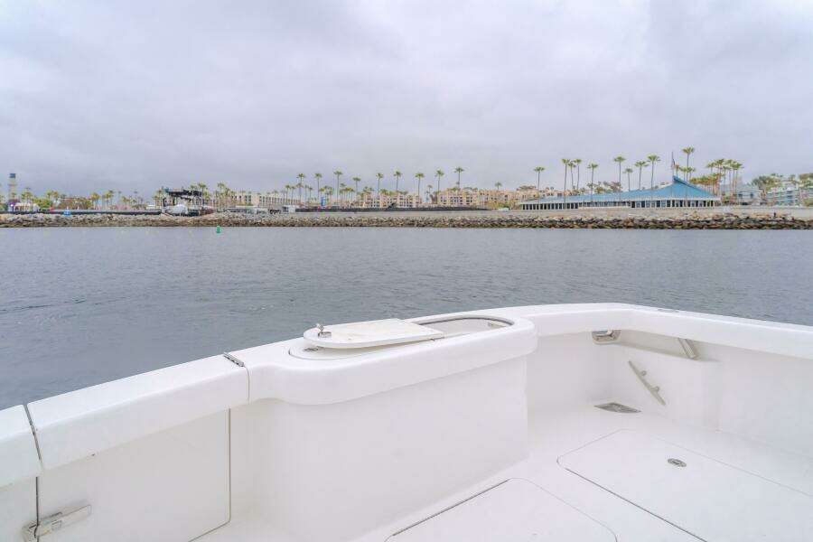 2022 Viking 38 Open - CHAMPION