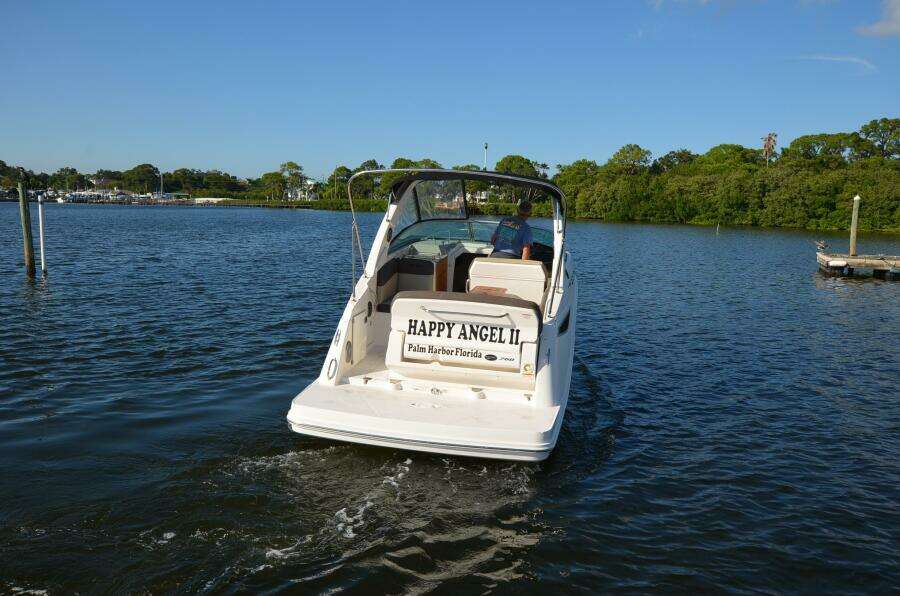 2015 Sea Ray 260 Sundancer