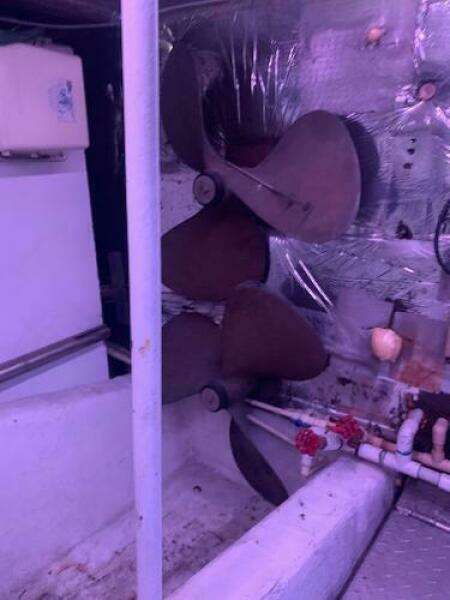 1985 Ocean Yachts 55 Super Sport