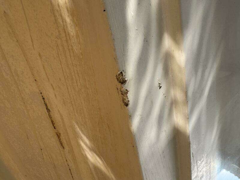 1994 Chaparral Signature 27 Cabin Cruiser