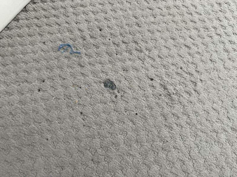 2002 Bennington 257L Pontoon Boat