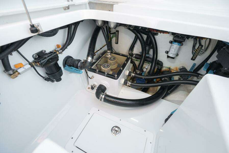 2026 Costa Custom 34sv