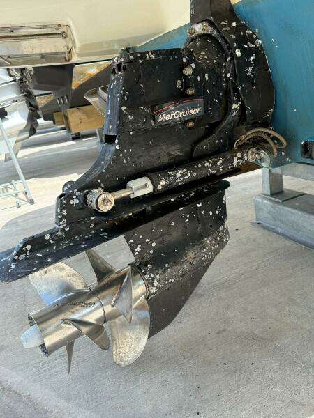 MerCruiser outdrive on 2014 Sea Ray 270 SLX, showing propeller and marine growth.