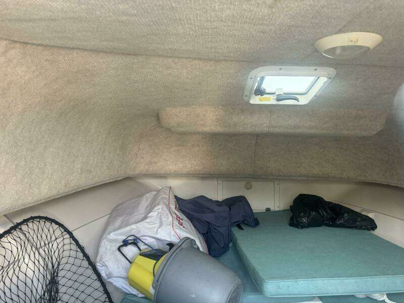 2004 Angler 220 Walkaround