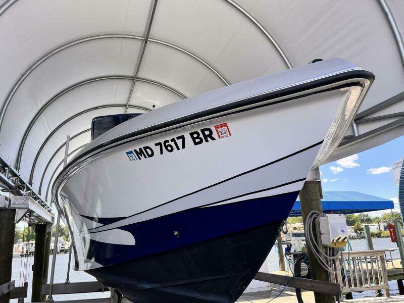 2011 Statement 380 Open